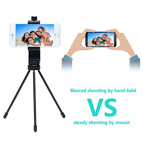 Bingolar Cellulare Supporti Treppiedi Pinza Regolabile per Treppiede Bastone Selfie Monopiede,Universale Smartphone cellulare Supporto, 1/4