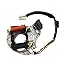 Produktbild FLAMEER 2 Spulen Magneto Stator Für Kazuma Quad ATV Kart Fahrrad LF100 DY100 H100 LX100