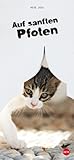 Katzen slim - Auf sanften Pfoten 2015 by Heye