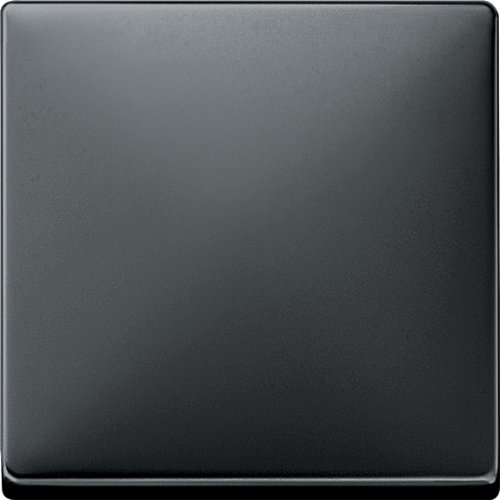 Preisvergleich Produktbild Merten 412169 Wippe, schwarzgrau, System Fläche