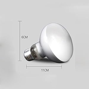 Pet Online Reptile dedizierte UVA-poly sand Heizung Haustier Heizung Tageslicht, 75 W