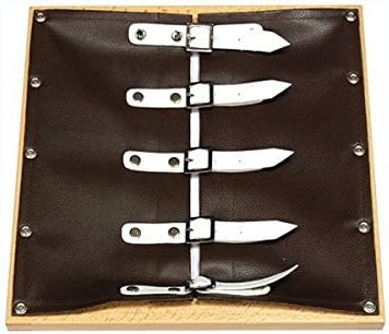 Montessori Buckles Dressing Frame