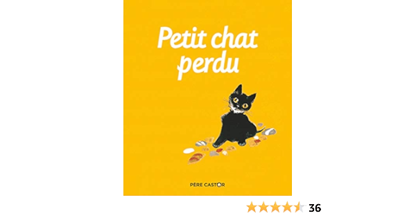 Amazon Fr Petit Chat Perdu Deletaille Albertine Natacha Livres