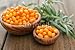 Produktbild Alu-Dibond-Bild 80 x 50 cm: "Sea-buckthorn berries", Bild auf Alu-Dibond