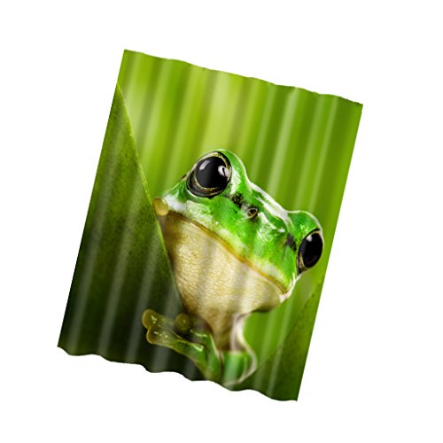 Generic 180 x 180cm Polyester Wasserdicht Duschvorhang für Dusche und Badewanne Badezimmer Platte mit 12 Haken Dekor – Frosch , 180cm x 180cm - 5