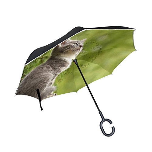 Preisvergleich Produktbild ISAOA Große umgekehrten Regenschirm windfest Double Layer, umgekehrt faltbarer Regenschirm für Auto, c-shaped Cat mit Dach, auf Stein Regenschirm für Damen und Herren