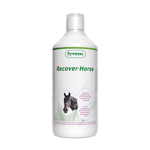 Preisvergleich Produktbild Synopet Recover-Horse - 1000 ml