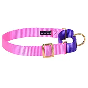 Forfurs Classic Dog Martingale Collar for Medium Dogs - Hot Pink x Ultra Violet