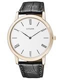 Citizen Stiletto Eco-Drive Herrenuhr AR1113-04B