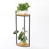 ✔ Diseño simple y práctico: hay espacio para el crecimiento natural de flores y macetas, para que sus plantas disfruten del sol en un ambiente cómodo.
