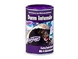 Robert Franz Darm Intensiv Pulver 200g