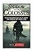 Produktbild Shadow of The Colossus Game, PC, PS4, Special Edition, Walkthrough, Tips, Cheats, Guide