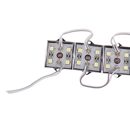 20st 5050 SMD 4-LED Module Weiss Wasserdicht Module 12V - 4