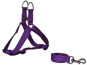 Pets Like Polyester V Harness with Leash Set Purple (Medium)