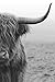 Produktbild REINDERS Highlander Bulle - Wandbild 60 x 90 cm
