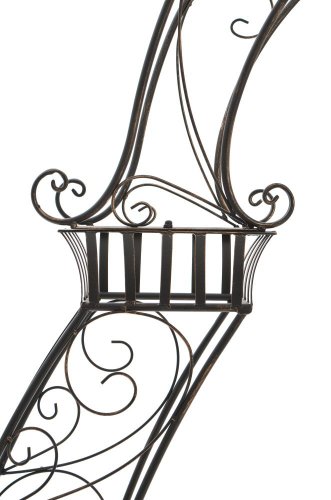 CLP XXL Rosenbogen NORBU, extra breit = 190 cm, Höhe 234 cm, Eisen pulverbeschichtet, FARBWAHL bronze - 3