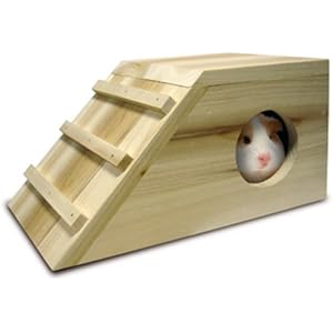 Flamingo Cabana Hütte aus Holz für Versuchskaninchen