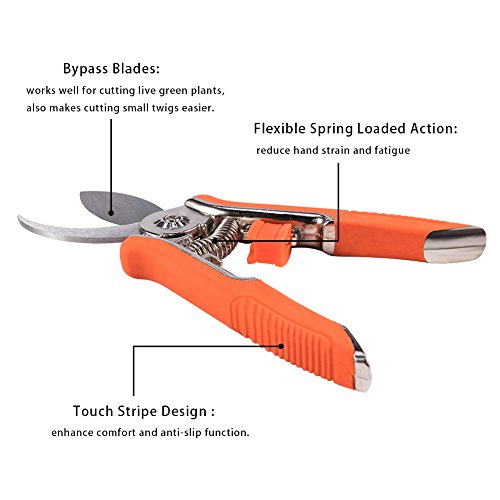 Lopunny Hand Gartenschere 2 Stück Garden Tools Set Mini Beschneiden Bypass neigen und Micro-Tip trimmen Schere - 3