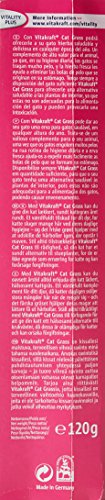 Vitakraft-24031-Herbe--Chat-Cat-Gras