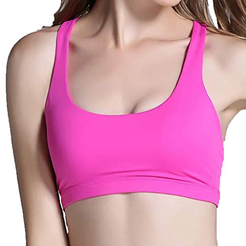 Innerternet_Underwear de Mujer,Sujetador Liso de Fitness Deportivo a Prueba de Golpes sin Anillo de Acero, Elegante y Delgado Chaleco Deportivo （Negro/Rosa/Rosa/púrpura