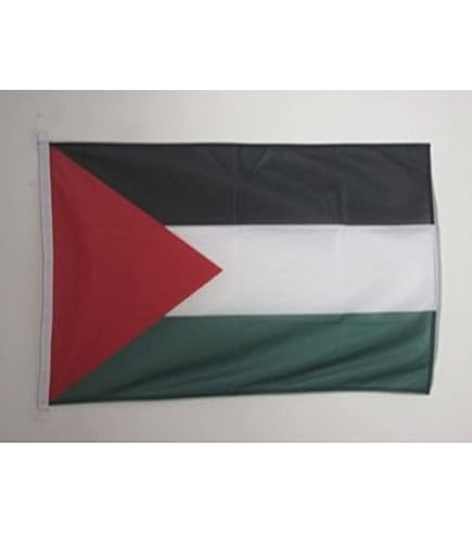 50 Pièces Petit Drapeau Palestine Avec Baton Drapeau Palestiniens Tenus à Manivelle Fanions Pour Fête Défilés Matchs De Football événement Sportif Jardin Décoration De Bar