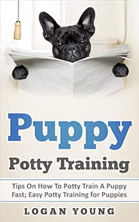 house potty training a puppy