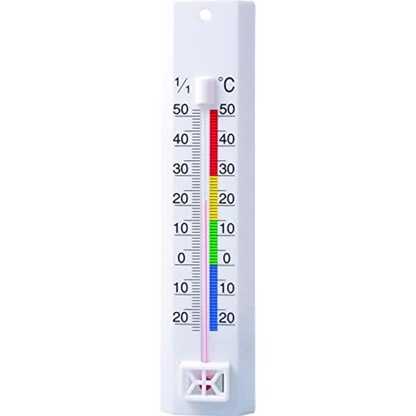 Image of Technoline WA 1040 at Amazon