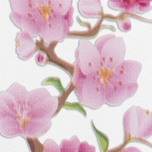 kwmobile Funda para Samsung Galaxy A5  2015  - Carcasa de  TPU  para m  vil y dise  o de Rama de Flores en  Rosa Fucsia Rosa Claro Transparente 