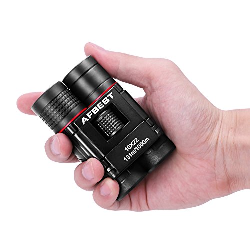 10x22 Mini-Fernglas, Klein und kompakt, Fernglas-Teleskop mit Low-Light-Nachtsichtgerät für Kinder/Erwachsene/Vogelbeobachtung/Reise/Tourismus/Jagd