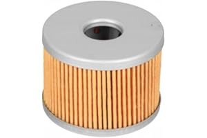 GENERICO Benelli 169124320000 Filtro Olio BN125 / TNT125 Ricambio Originale