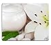 Produktbild Mousepads Wellness und Spa Szene mit Lily und Beauty Cream Bild 21057070 in MSD Matte Maßgeschneiderte Desktop Laptop Gaming Mauspad