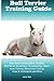 Produktbild Bull Terrier Training Guide Bull Terrier Training Book Includes: Bull Terrier Socializing, Housetraining, Obedience Training, Behavioral Training, Cues & Commands and More