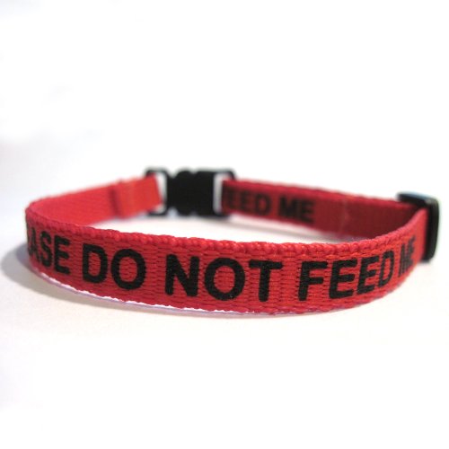 Purfect Pet Products Please Do Not Feed Me cuello rojo