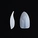 MAKARTT®500 Pcs French Natural Sharp Ending Full Cover Stiletto False Nail Tips (Natural)