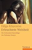 Erleuchtete Weisheit: Die Einhundert Ratschläge des Padampa Sangye by 