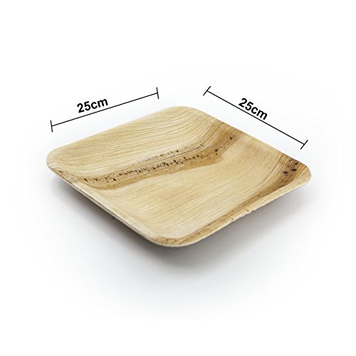 Ecológico palmblattgeschirr| 25 stück| 25 X 25 cm| 100% biológico abbaubar| NaturaBiomat Hoja de Palma | como Party Plato y einweggeschirr| wegwerfbares una vez Vajilla