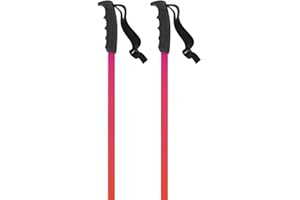 Atomic Filters Redster, Alpine Pole Unisex Adulto