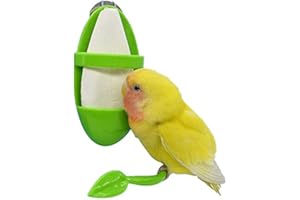 EHOTER Hueso de sepia grande con soporte de plástico para abrazar huesos, soportes de jaula de loro, accesorios para periquitos, pinillos, pájaros, cacatúas, tortugas, caracoles de tortuga (1 unidad)