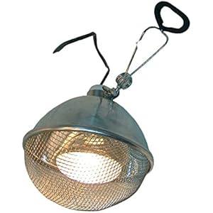 Namiba Terra 1782 Protector Clamp Lamp