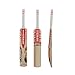 Gray Nicolls Kaboom Warner GN2.5 English Willow Cricket Bat (Short Handle) RS.6363.00