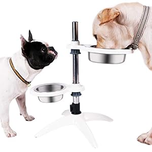 Super Design Comedero Perro Elevado Doble con Cuencos Comedero de Altura Ajustable Plato Perro para la digestión Saludable