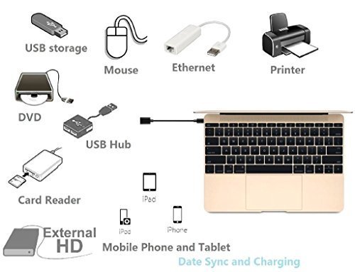 Motorola Moto Z / Z Play Typ-C Adapter Konverter Zu OTG USB-Kabel von Keple | USB C 3.1 Zu Standard weiblich 3.0 Steckverbinder | Tastatur Maus Speicherstick Flash-Laufwerke (15 cm/0.5ft Schnelle Geschwindigkeit USB-Host) - 3