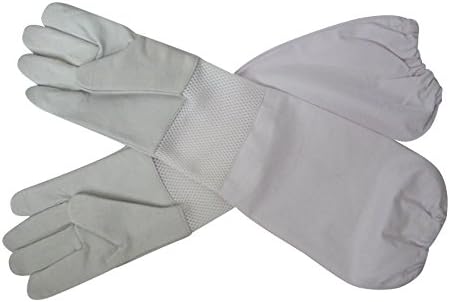 Soft Kid Leather Glove with Ventilated Wrist Band and Arm Protector (11)