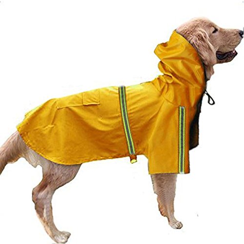 dog raincoat online