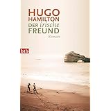 Der irische Freund: Roman