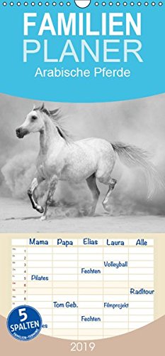 Arabische Pferde - Familienplaner hoch (Wandkalender 2019 , 21 cm x 45 cm, hoch): Die edlen Pferde des Orients (Monatskalender, 14 Seiten ) (CALVENDO Tiere)