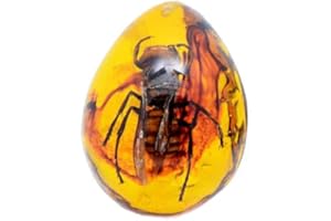 Funrelaxer Ambra fossile con insetti campioni di pietre campioni di cristallo Specimen insetto ciondolo ambra gioielli fai da te