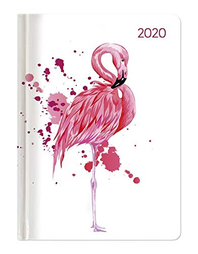 Ladytimer Flamingo 2020 - Taschenkalender A6 (11 x 15) - Weekly - 192 Seiten - Notizbuch - Terminplaner