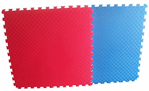 Sportmatte Steckmatte Judo Karate Yoga Kampfsport Rot-Blau 1mx1mx0,02m (0560010)