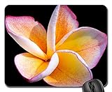 Gaming-Mauspads, Mauspad, Frangipandi-Blüten-Blüten-Zierblumen-Blume